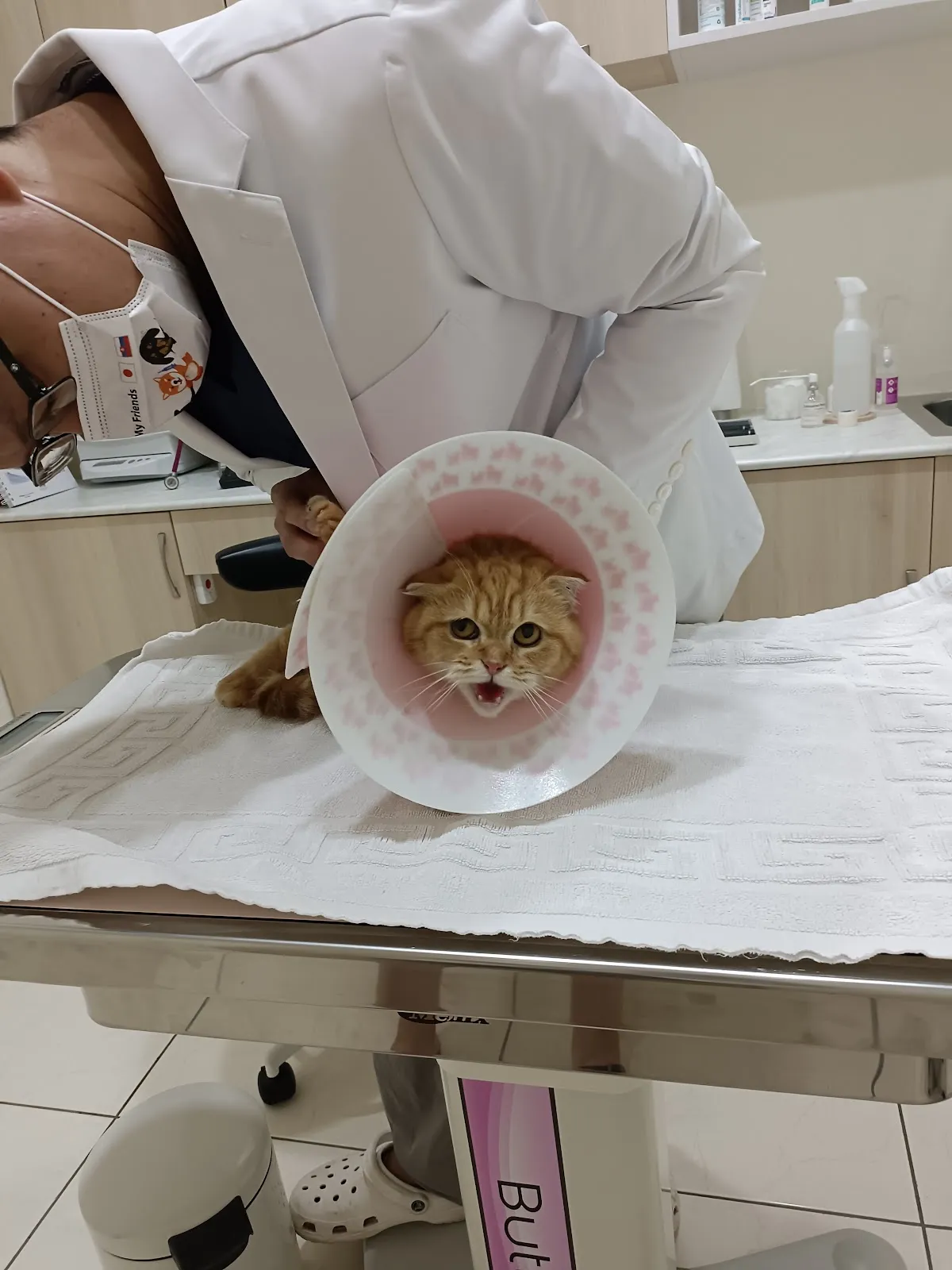 謝妮妮寵物醫院