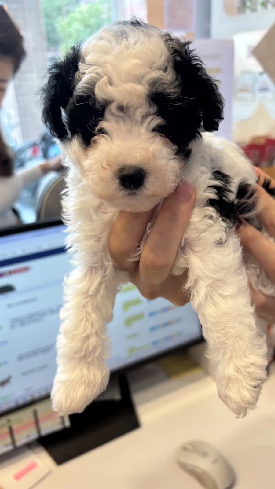 中興河堤動物醫院