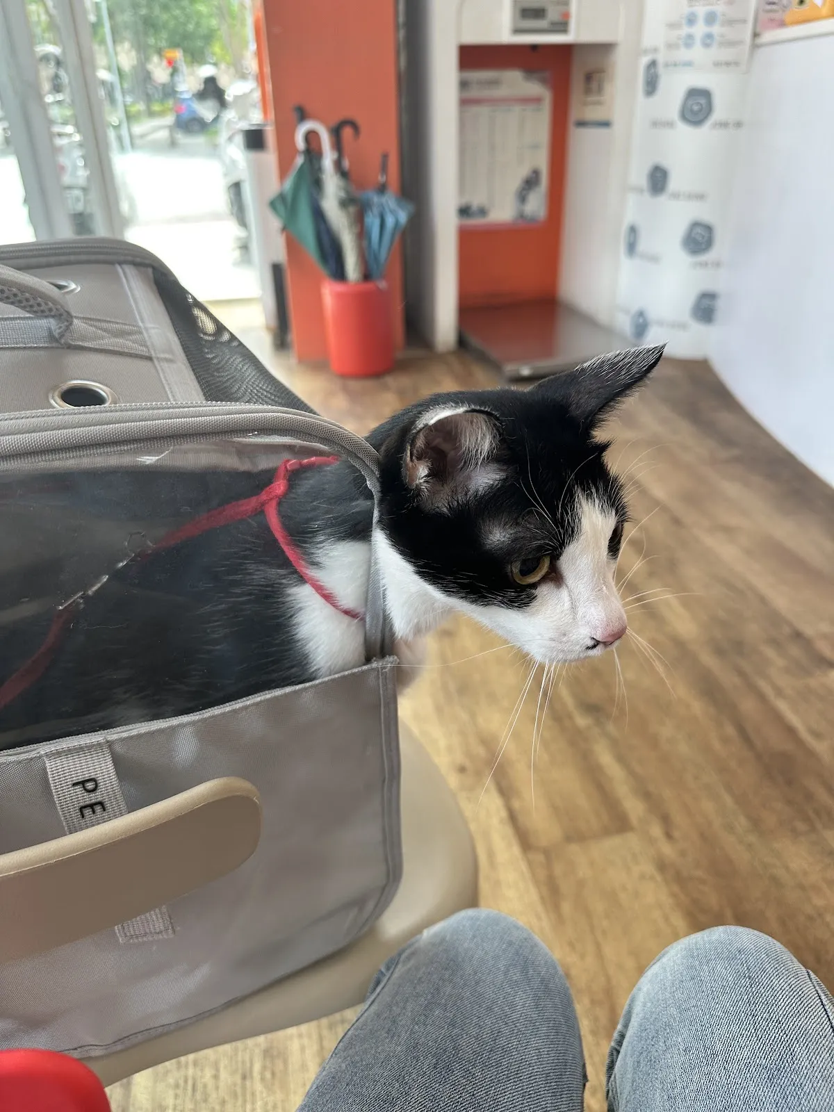 中興河堤動物醫院