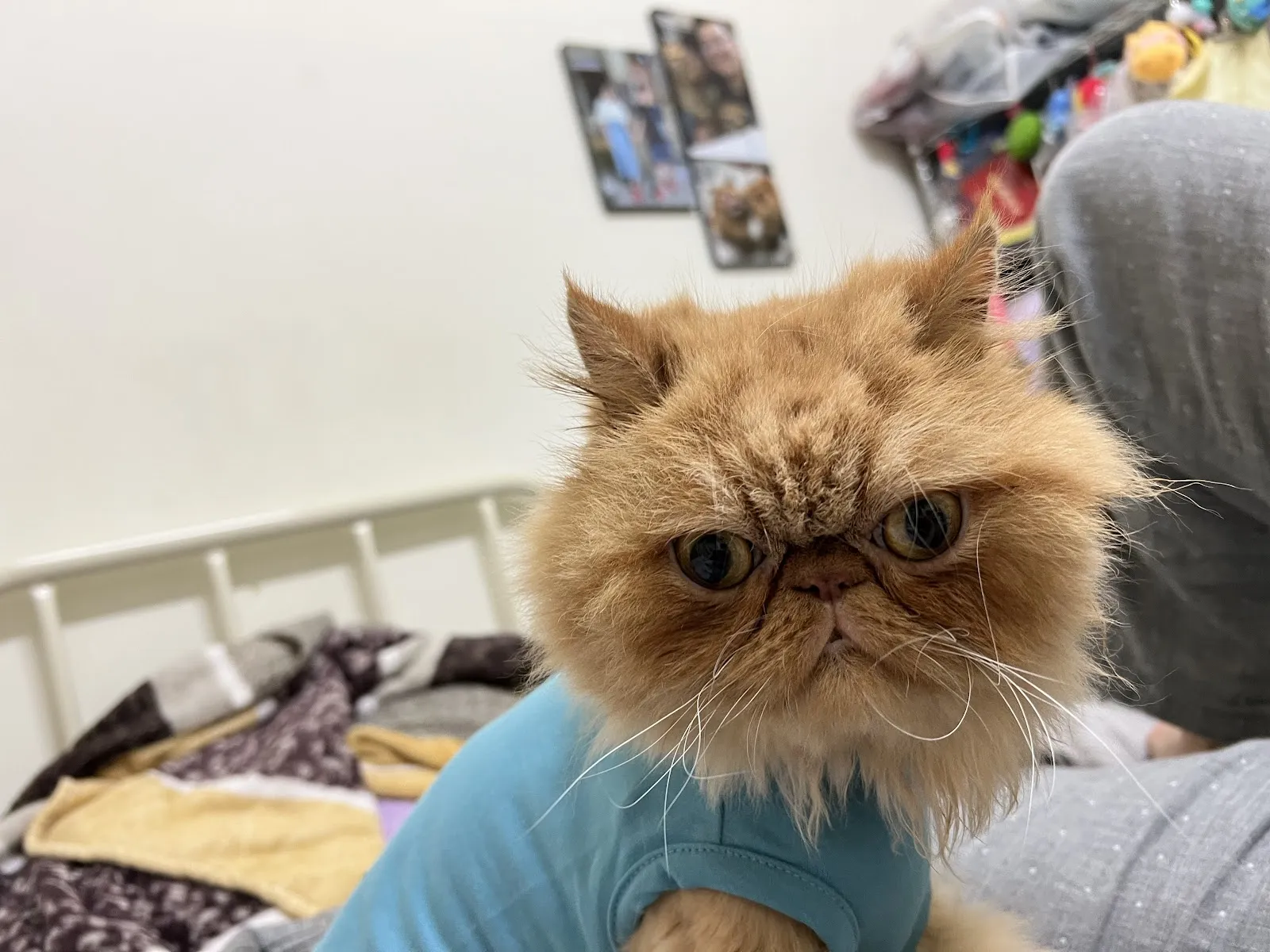 萌星人動物醫院