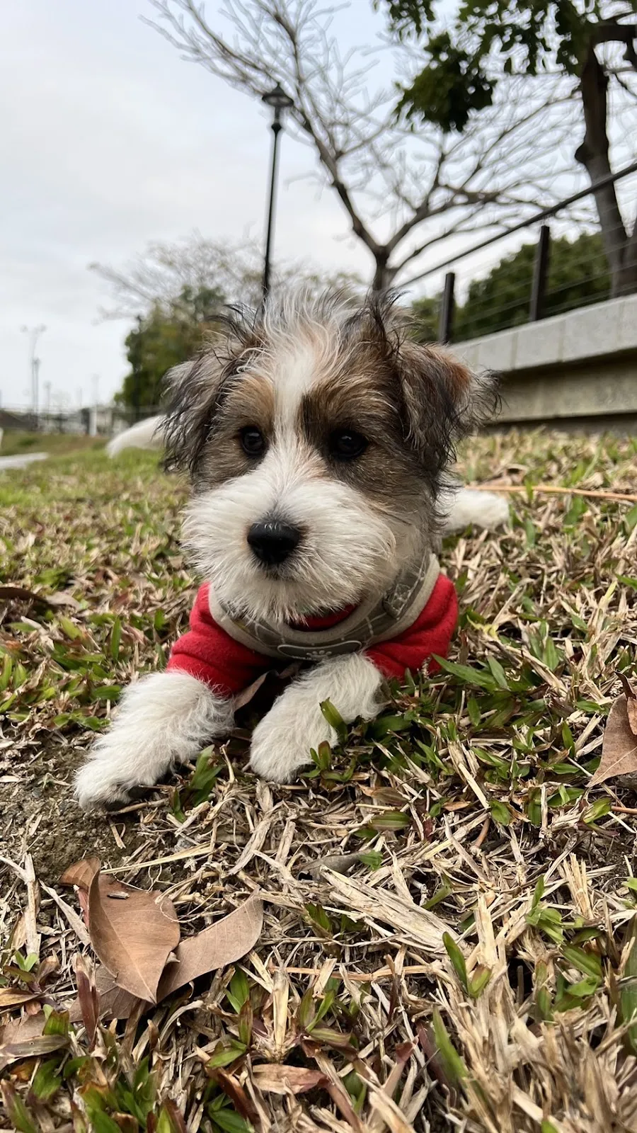 萌星人動物醫院