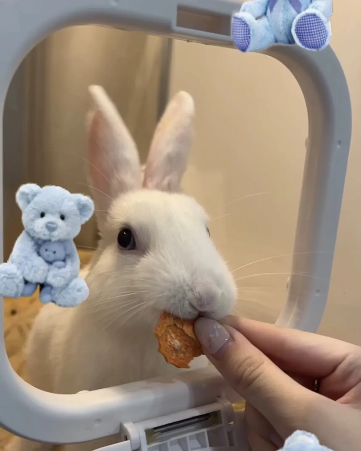 叢林特殊寵物專科醫院