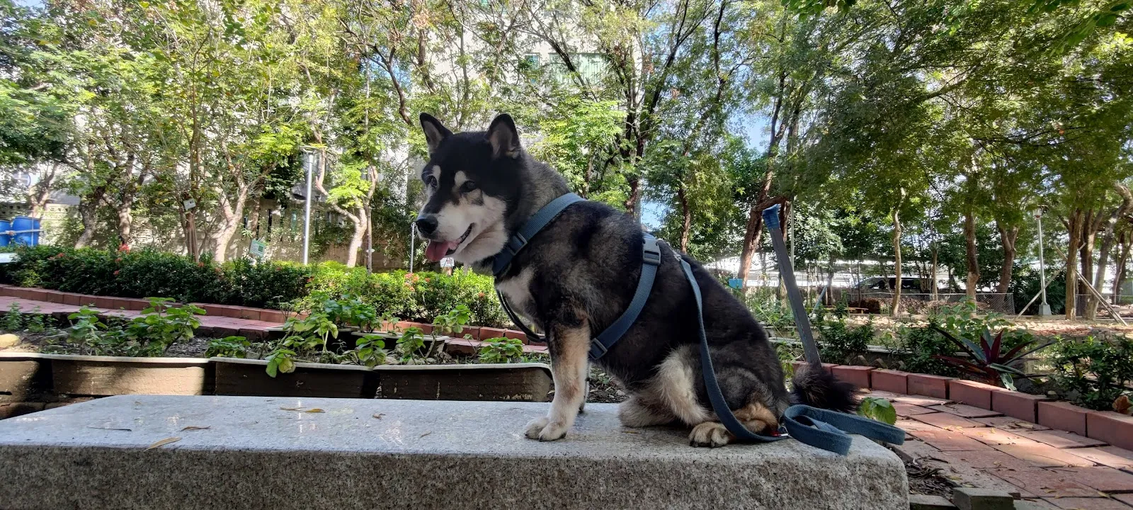 全國動物醫院北全分院