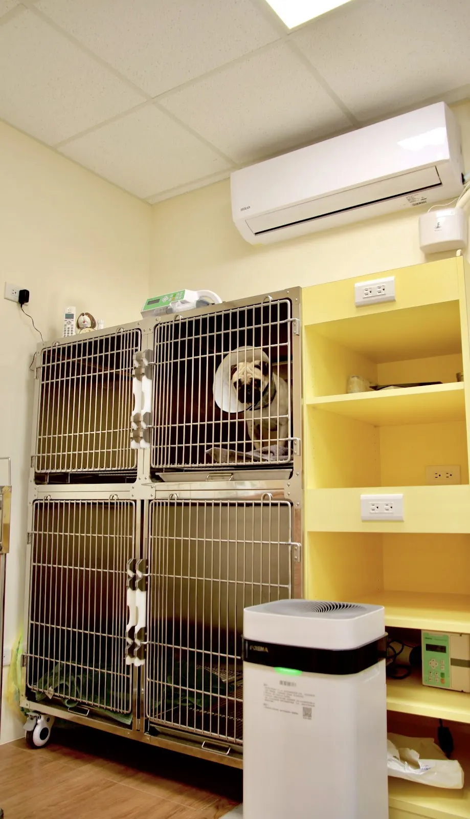 艾美動物醫院台北總院