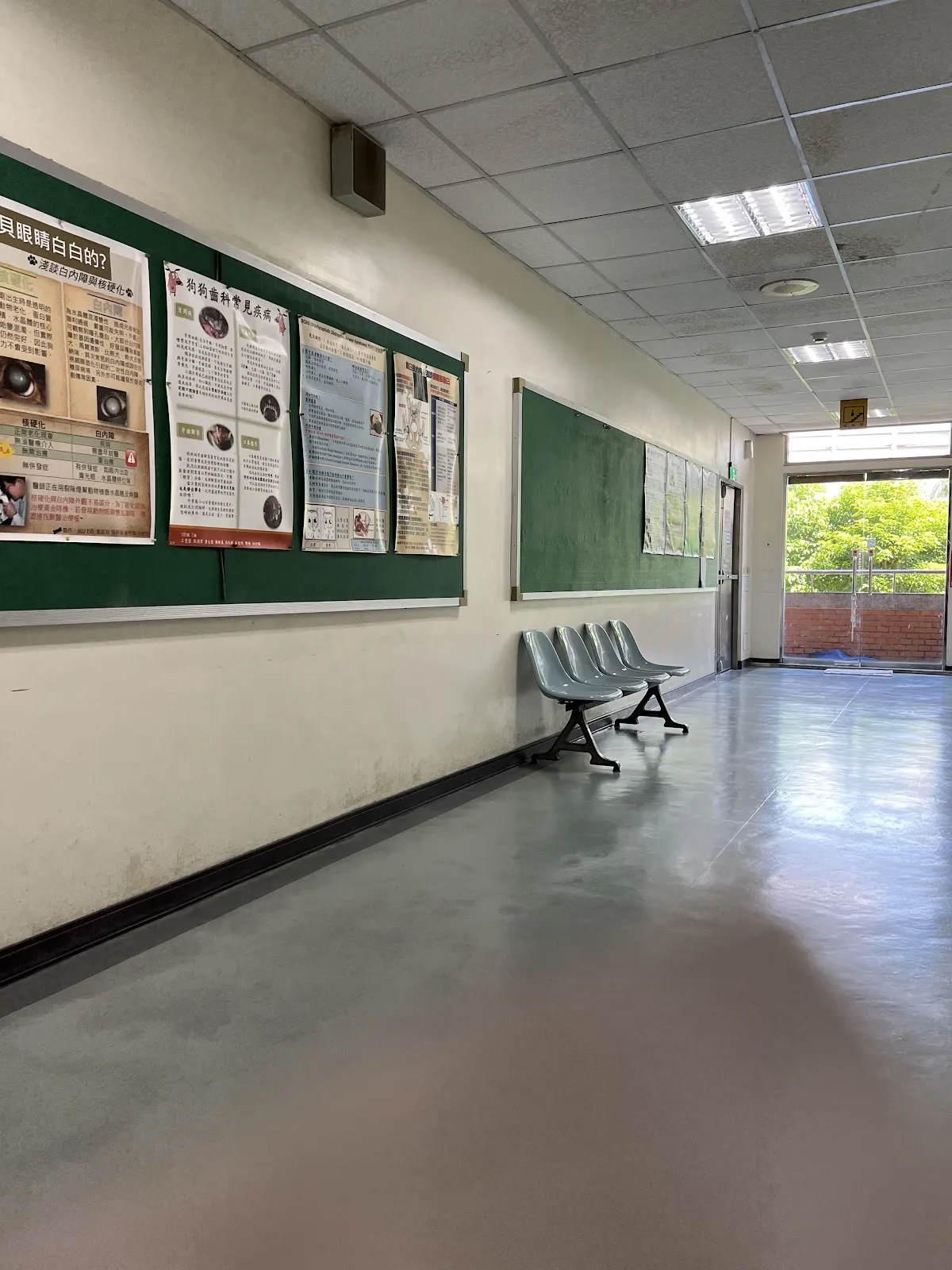 國立臺灣大學生物資源暨農學院附設動物醫院