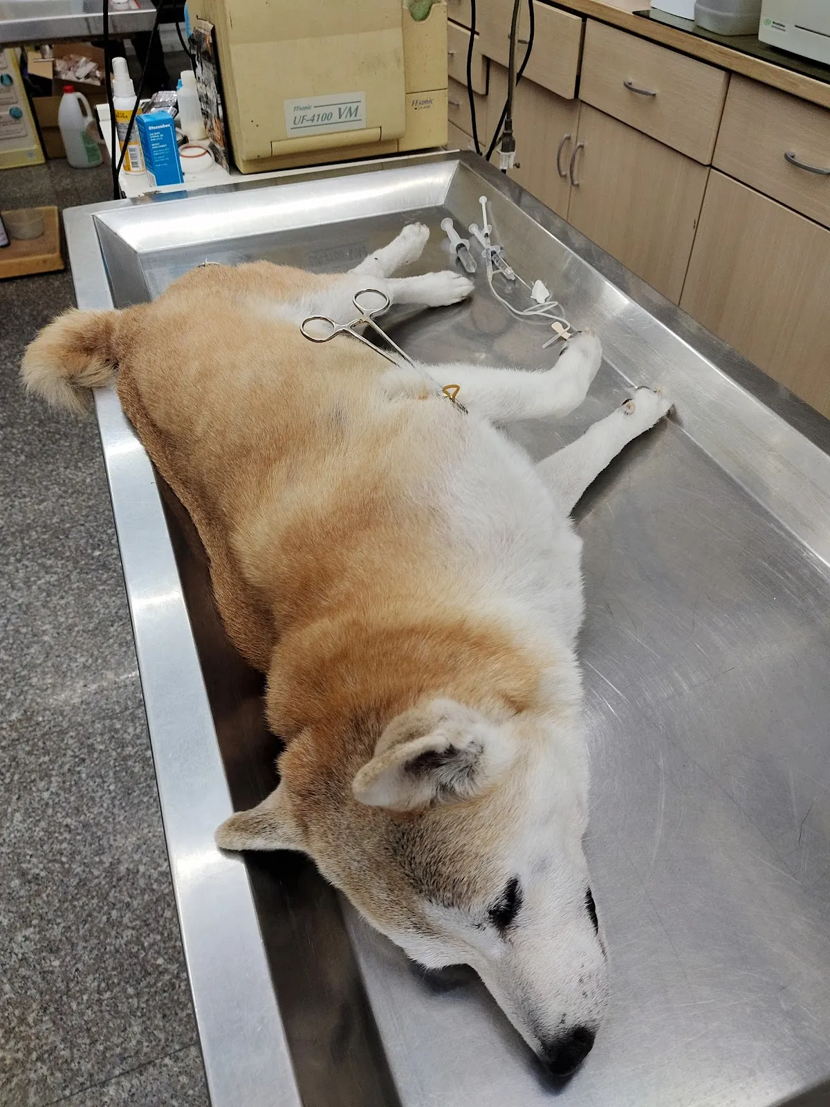 信誼動物診所