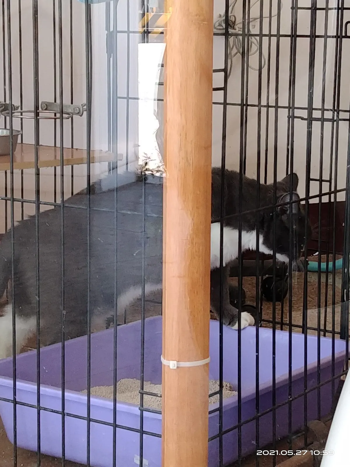 普羅旺斯動物醫院