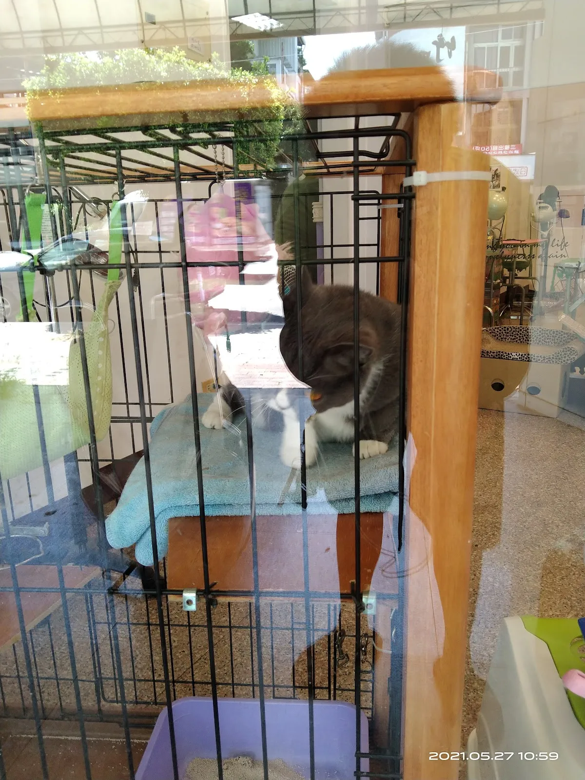 普羅旺斯動物醫院