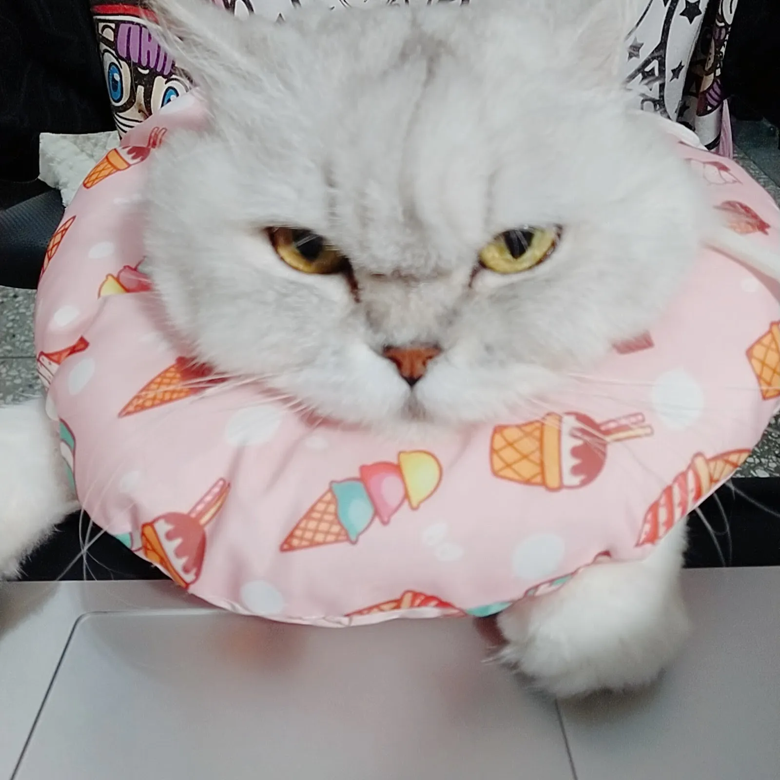 全民動物醫院北投分院