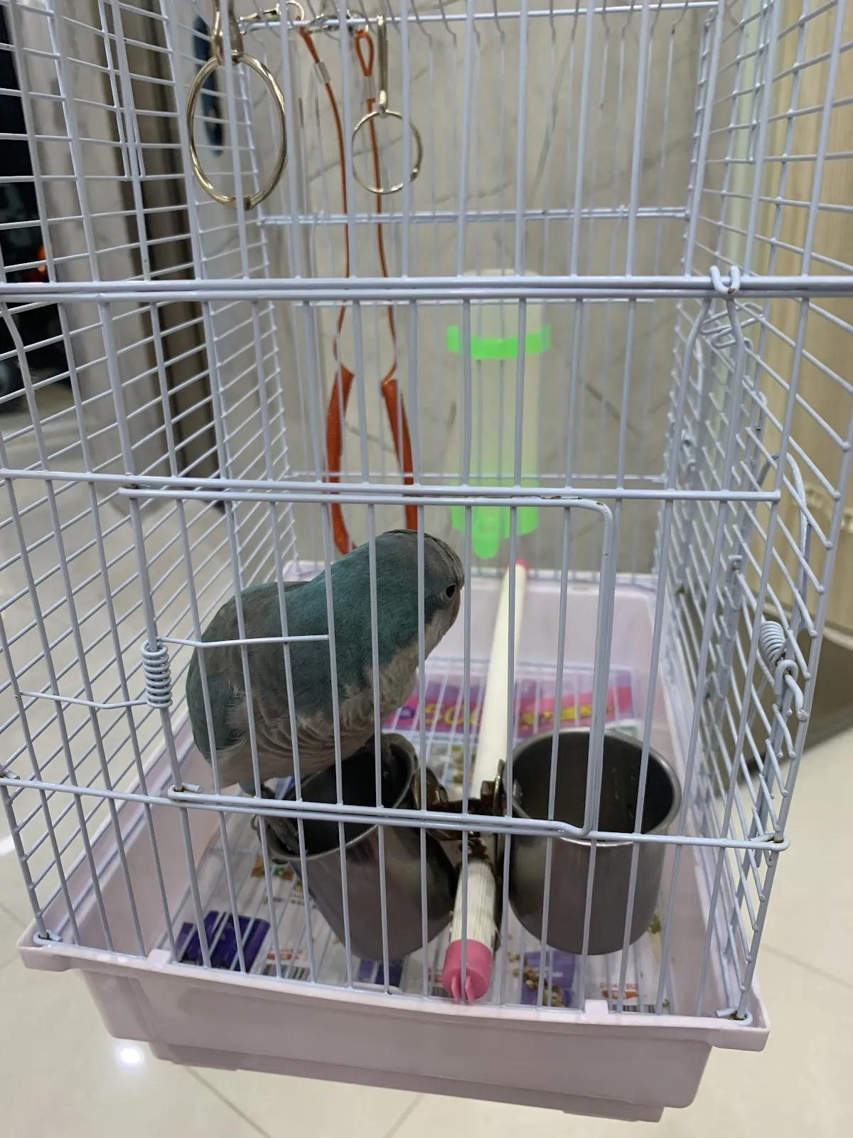 星羽動物醫院三民院