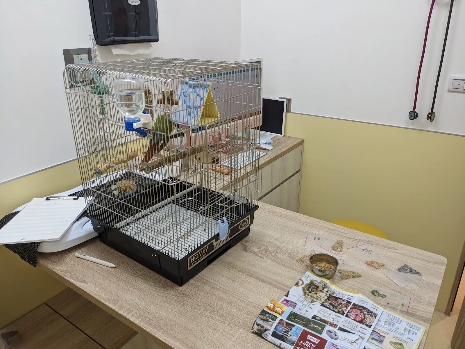 逗號動物醫院南崁分院