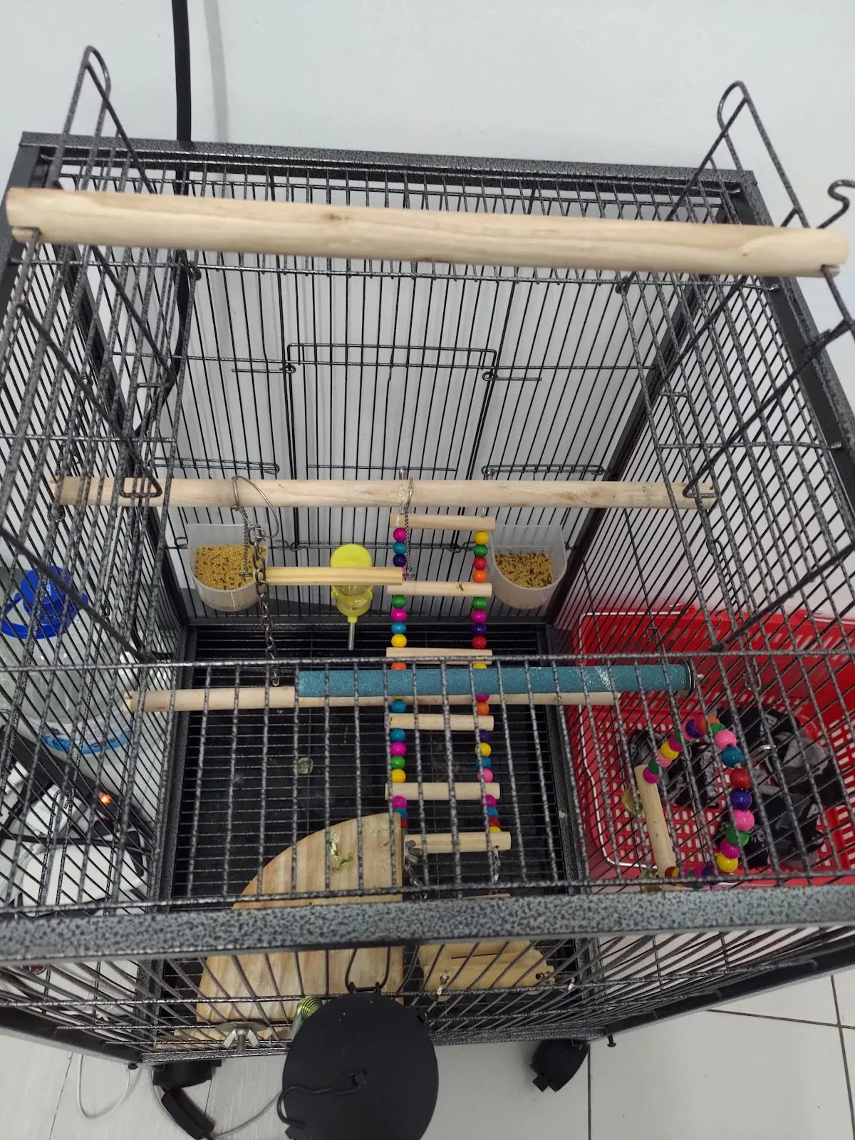 星羽動物醫院大寮分院