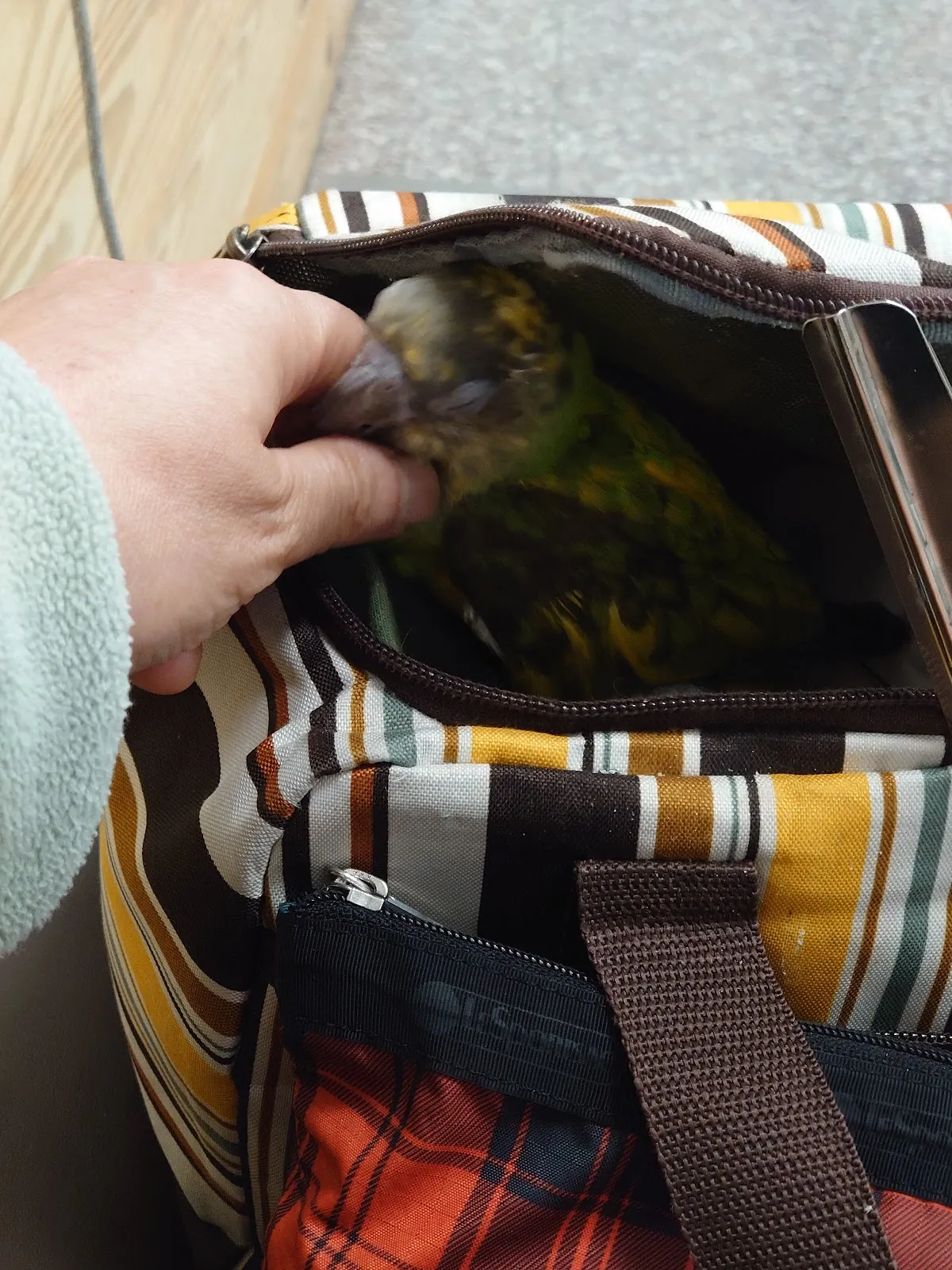 星羽動物醫院大寮分院