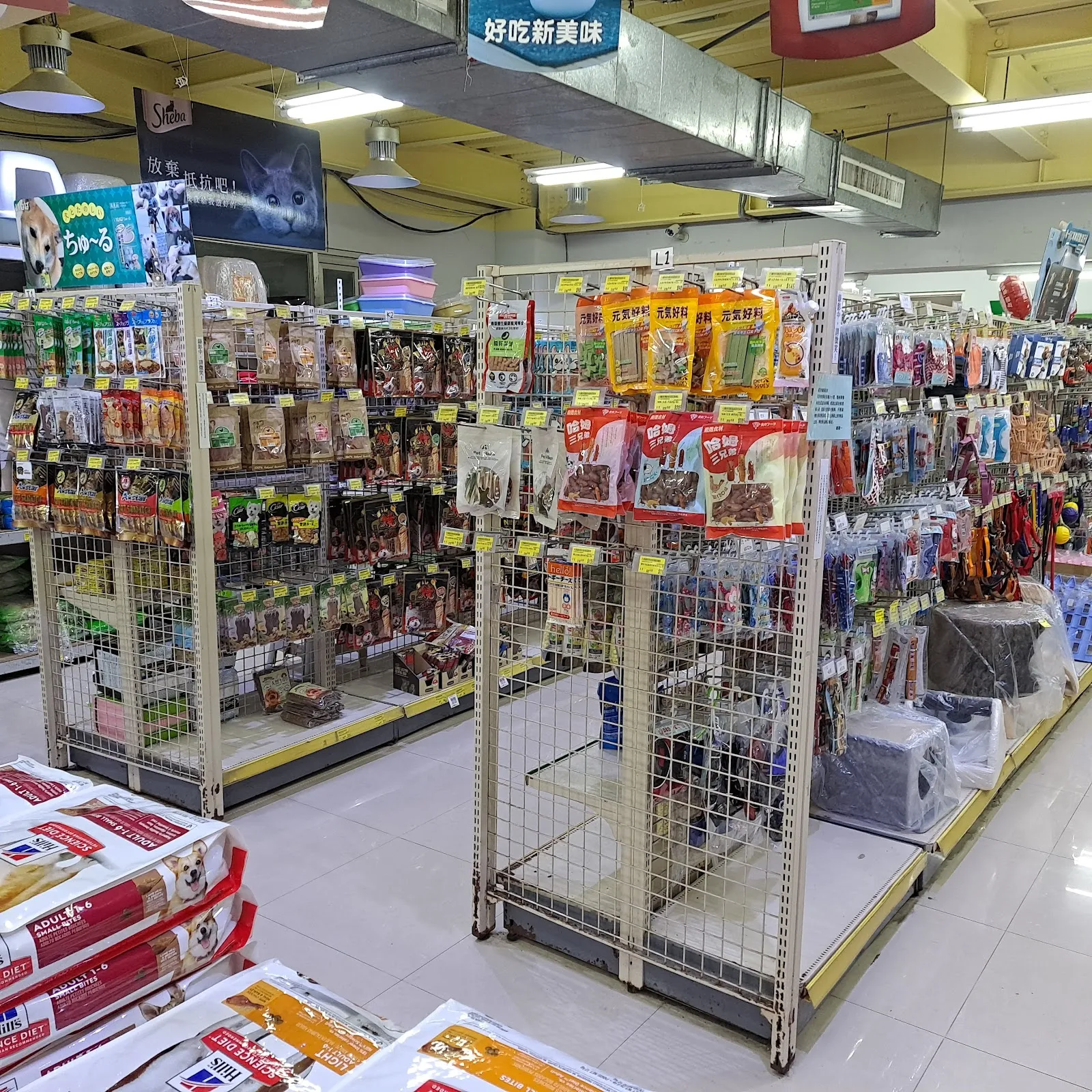 慈愛動物診所蘆竹分所