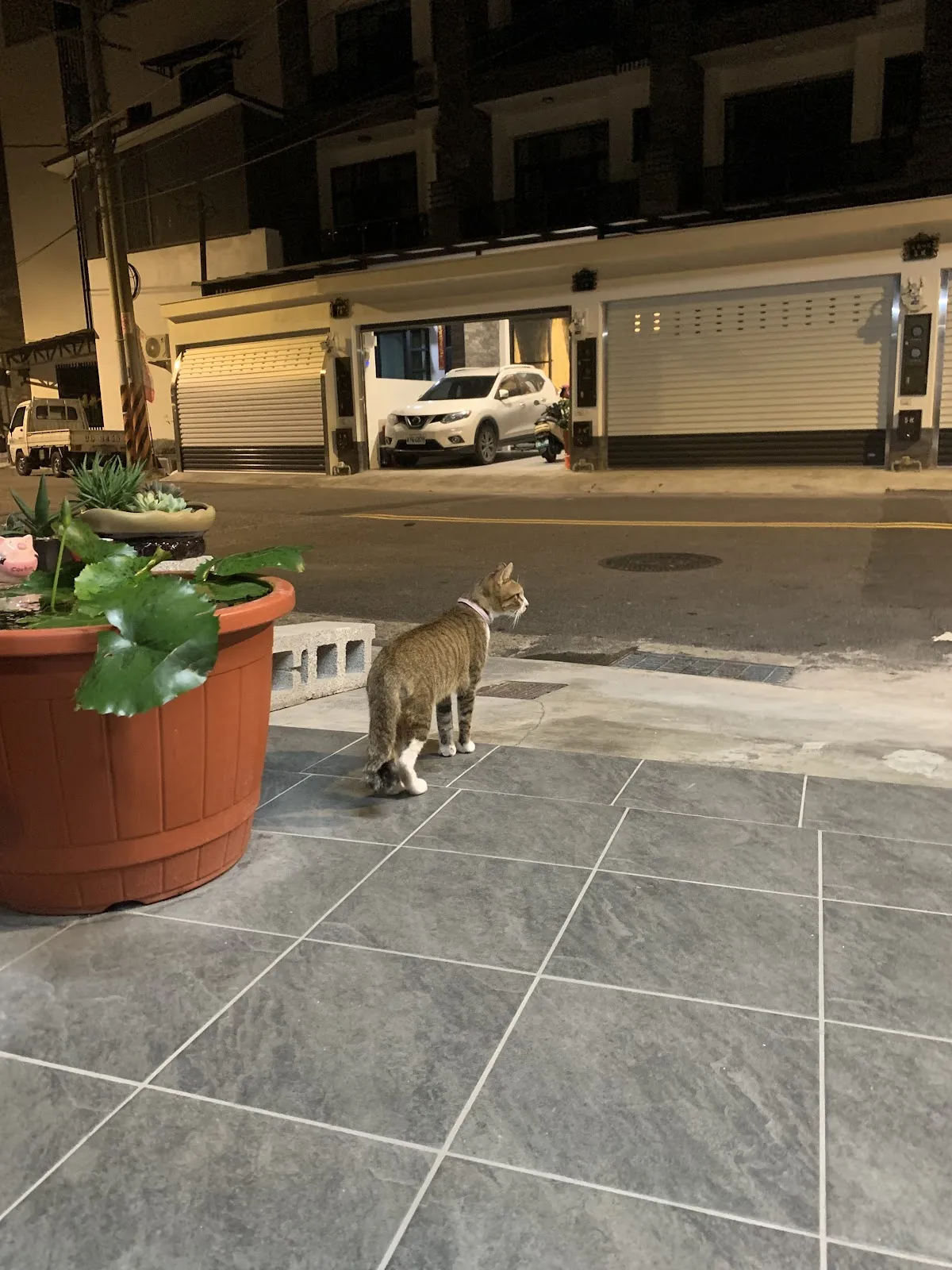 凱悅動物醫院