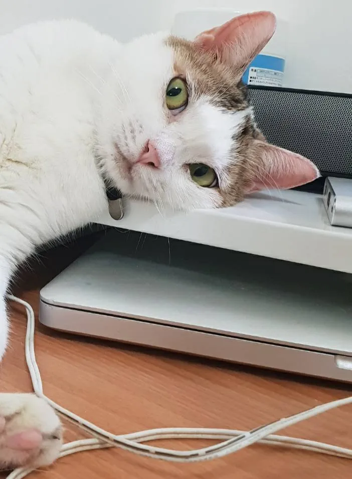 大安動物醫院公館分院