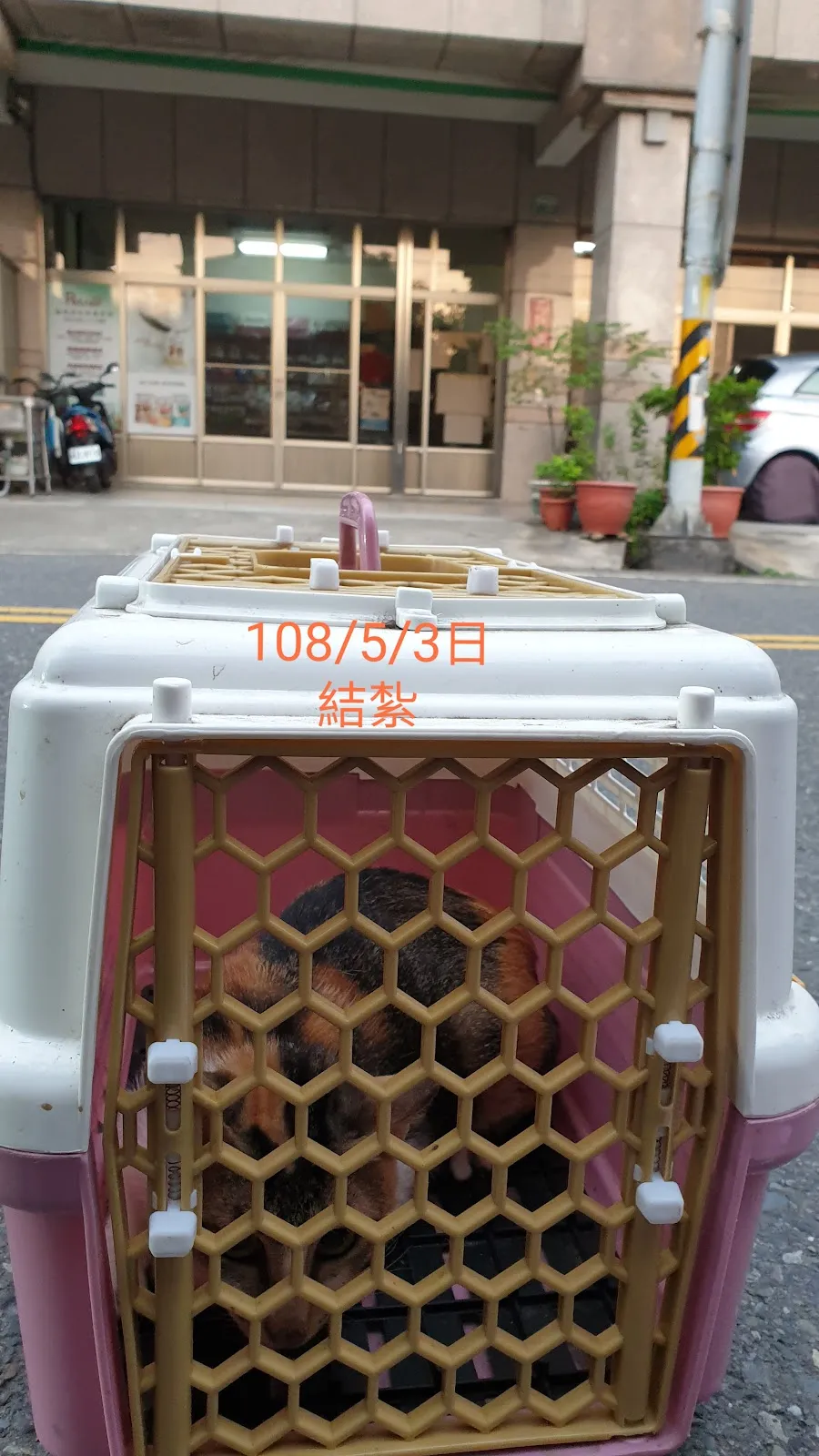 寶正興動物醫院