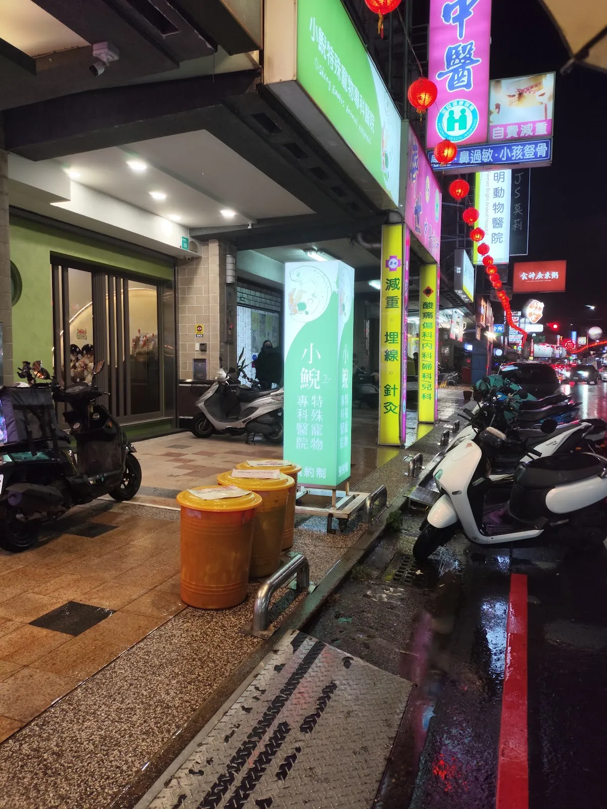 小鯢特殊寵物專科醫院