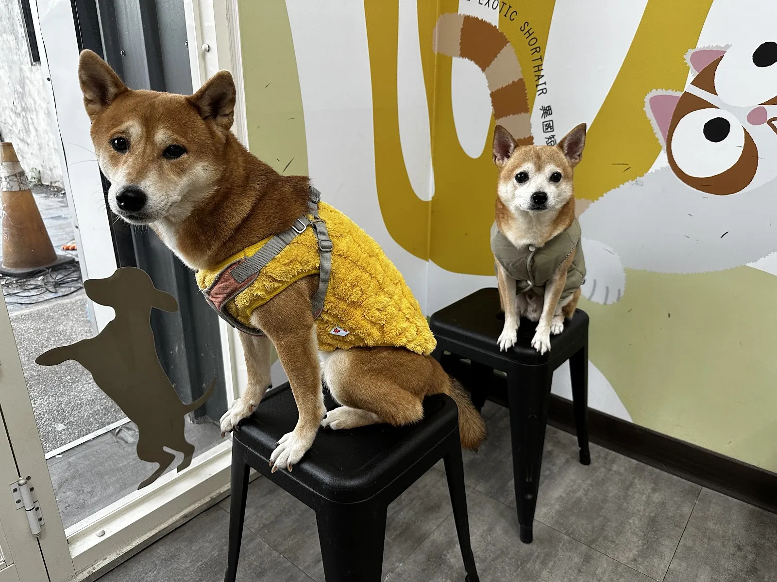 聯盟鳳屏動物醫院