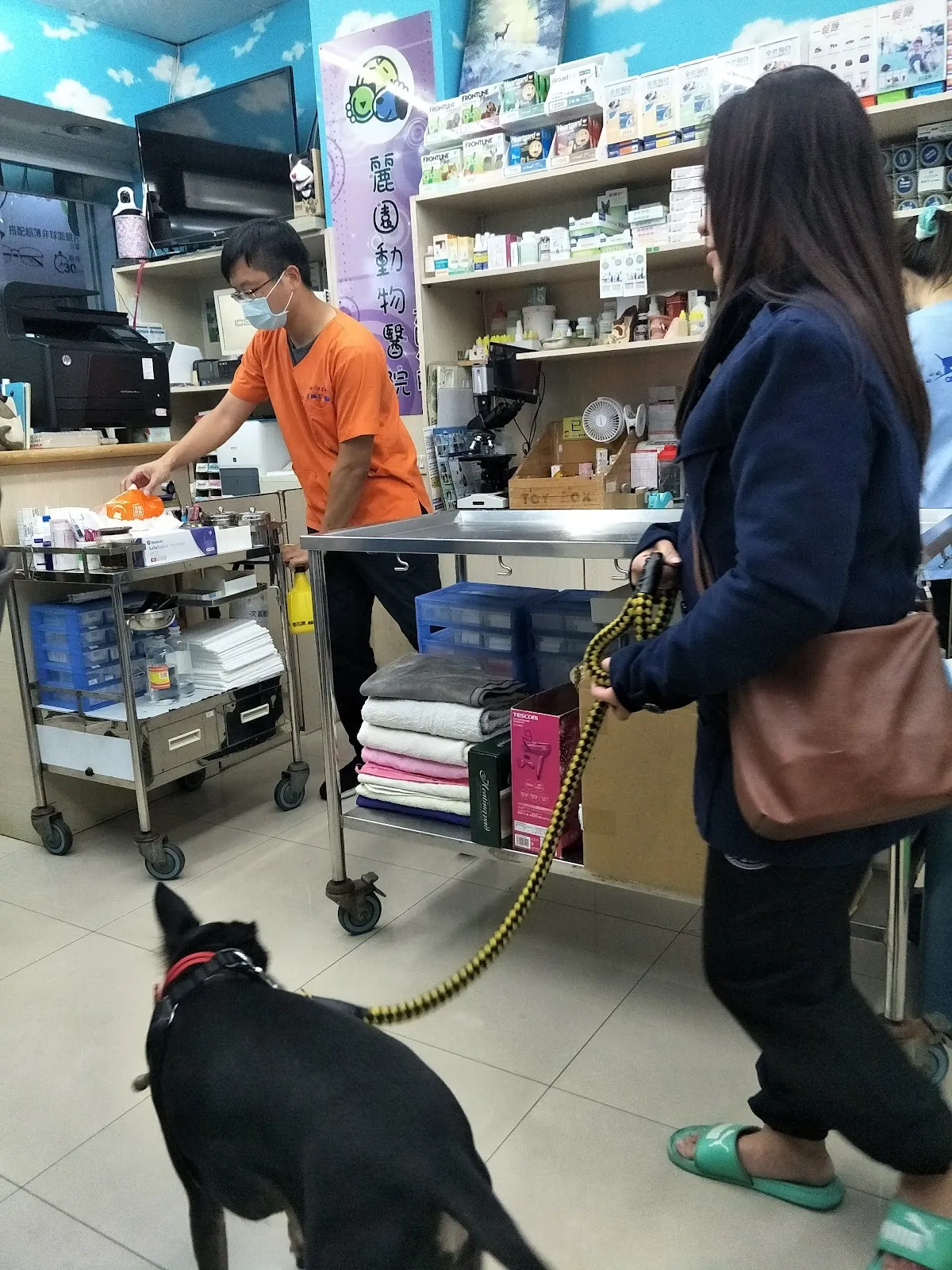 麗園動物醫院大園分院