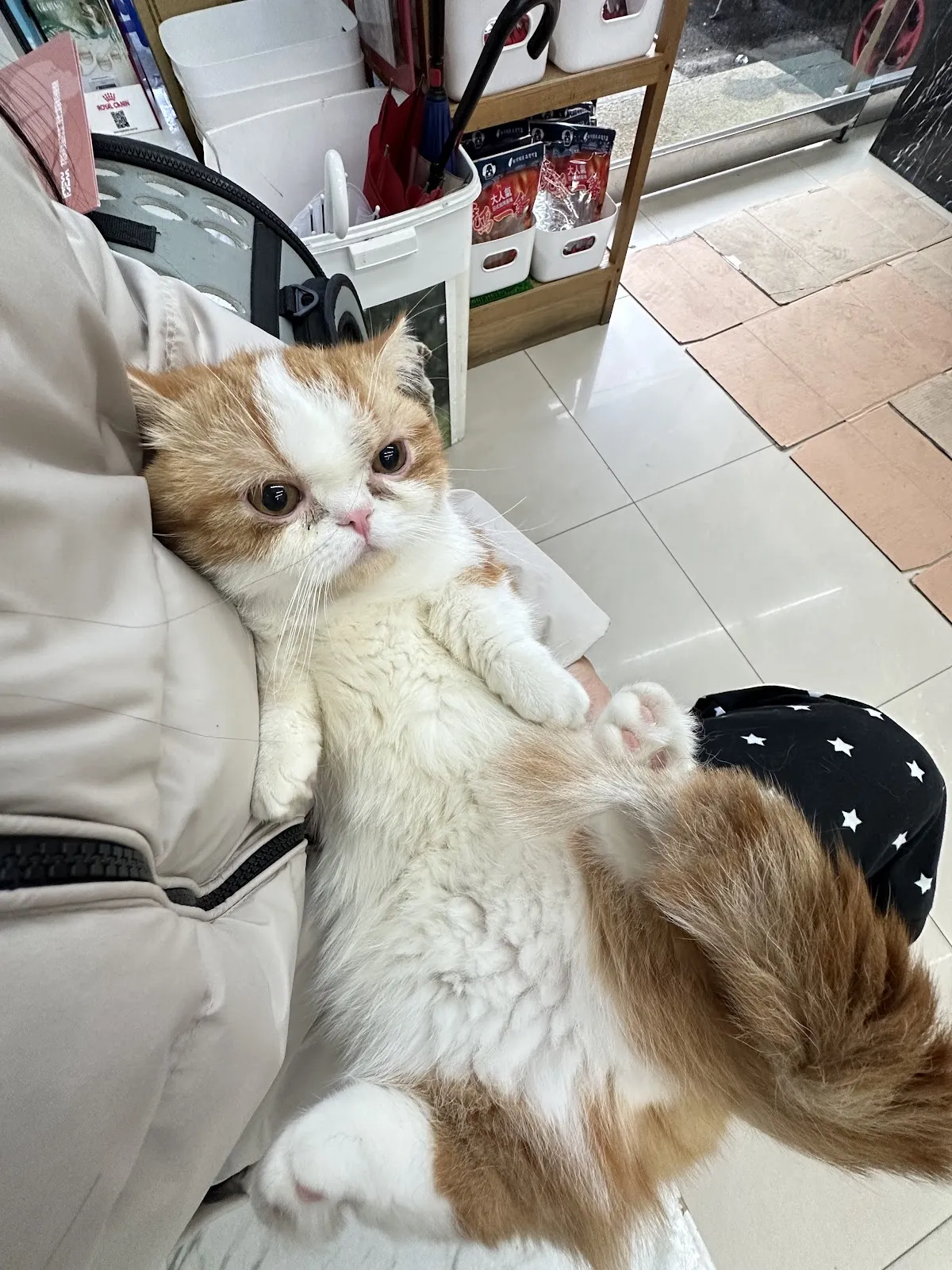 麗園動物醫院大園分院