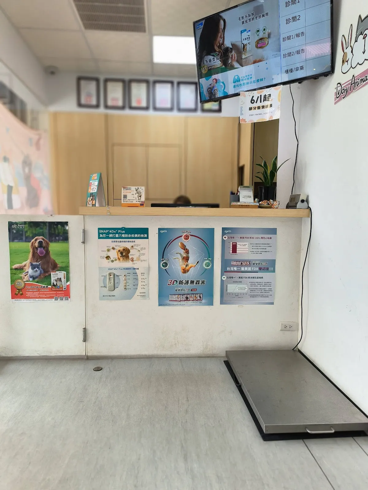 朵栗動物醫院