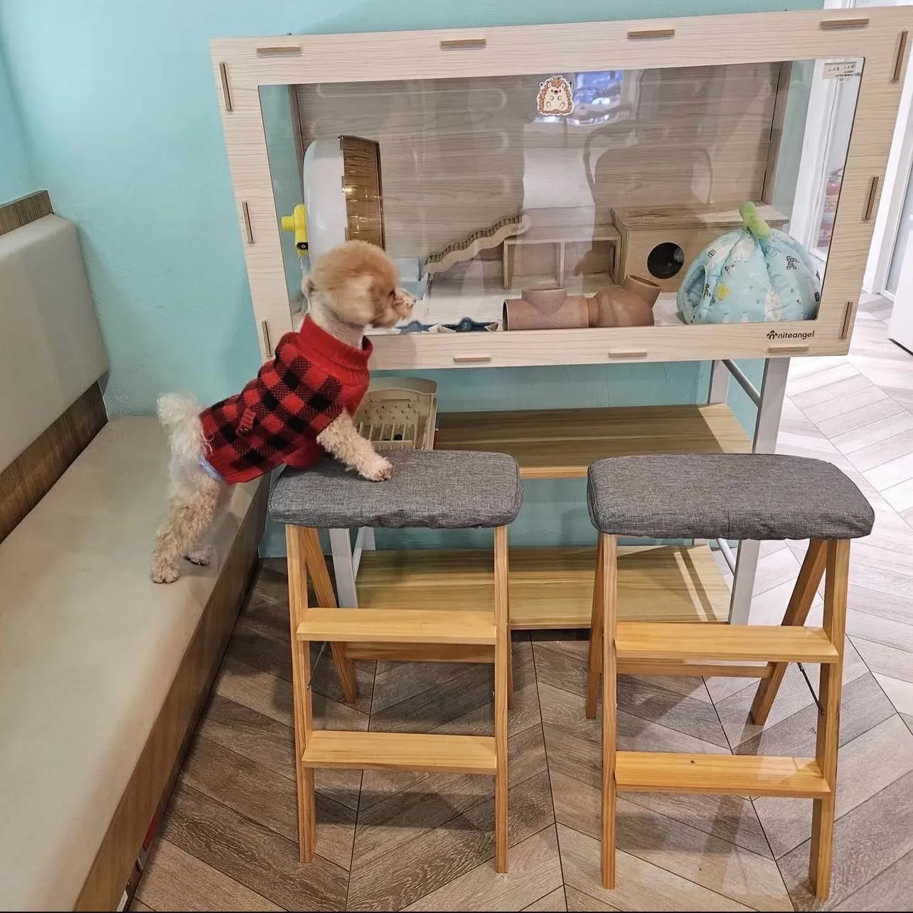 寵博健康動物醫院