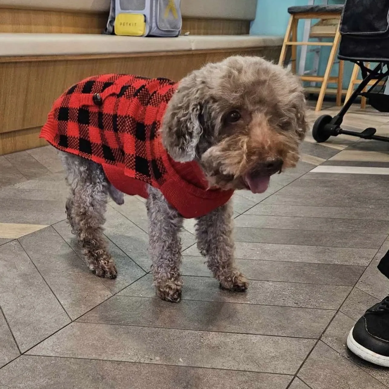 寵博健康動物醫院