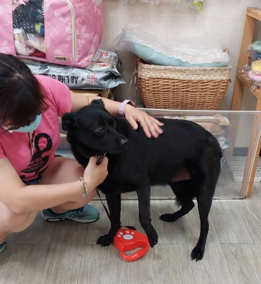 向陽動物診所