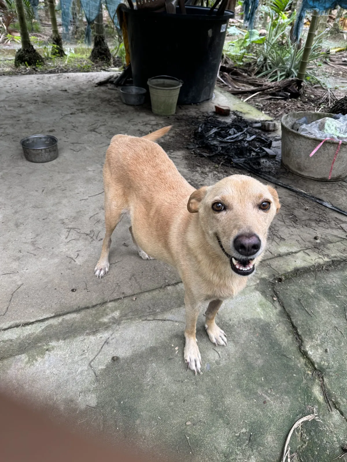 福爾摩莎動物醫院