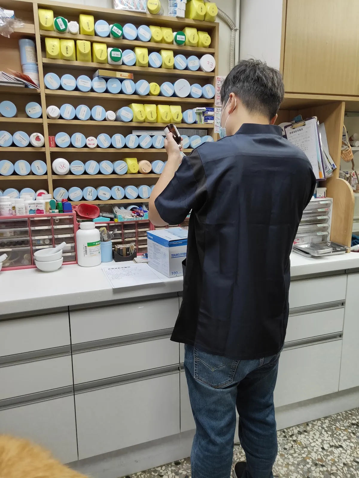 西螺程動物醫院