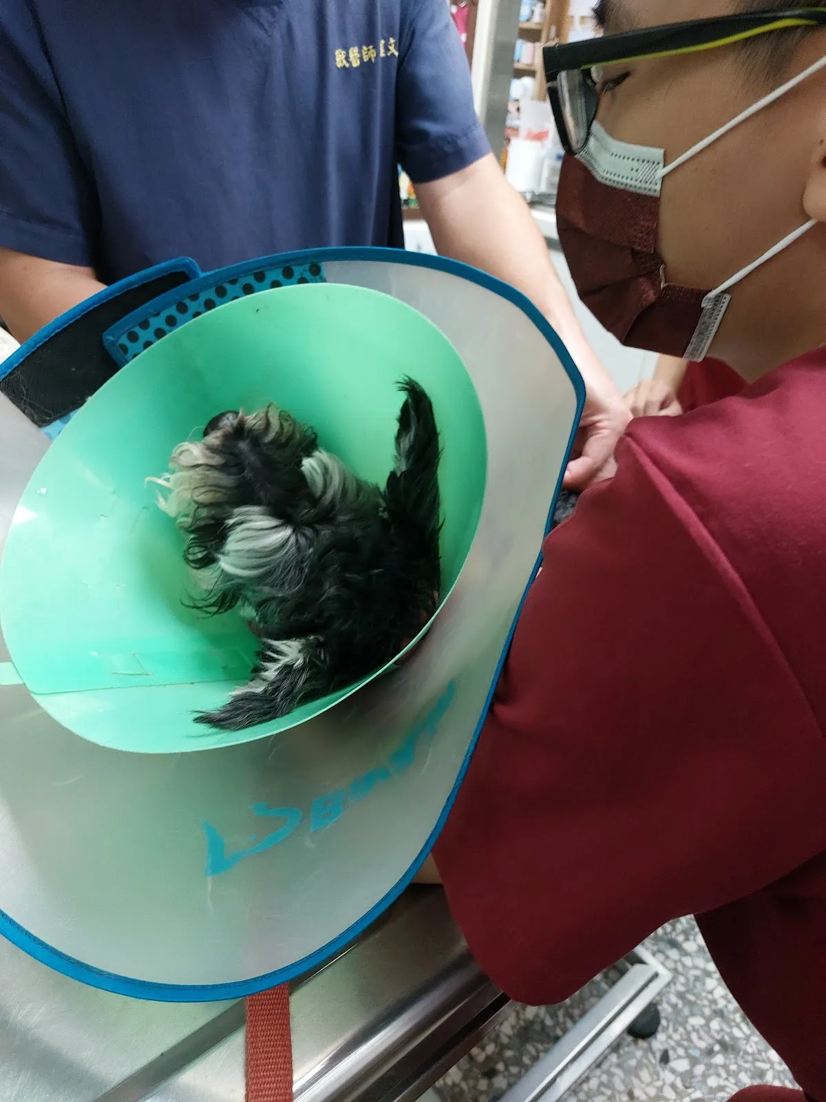 西螺程動物醫院