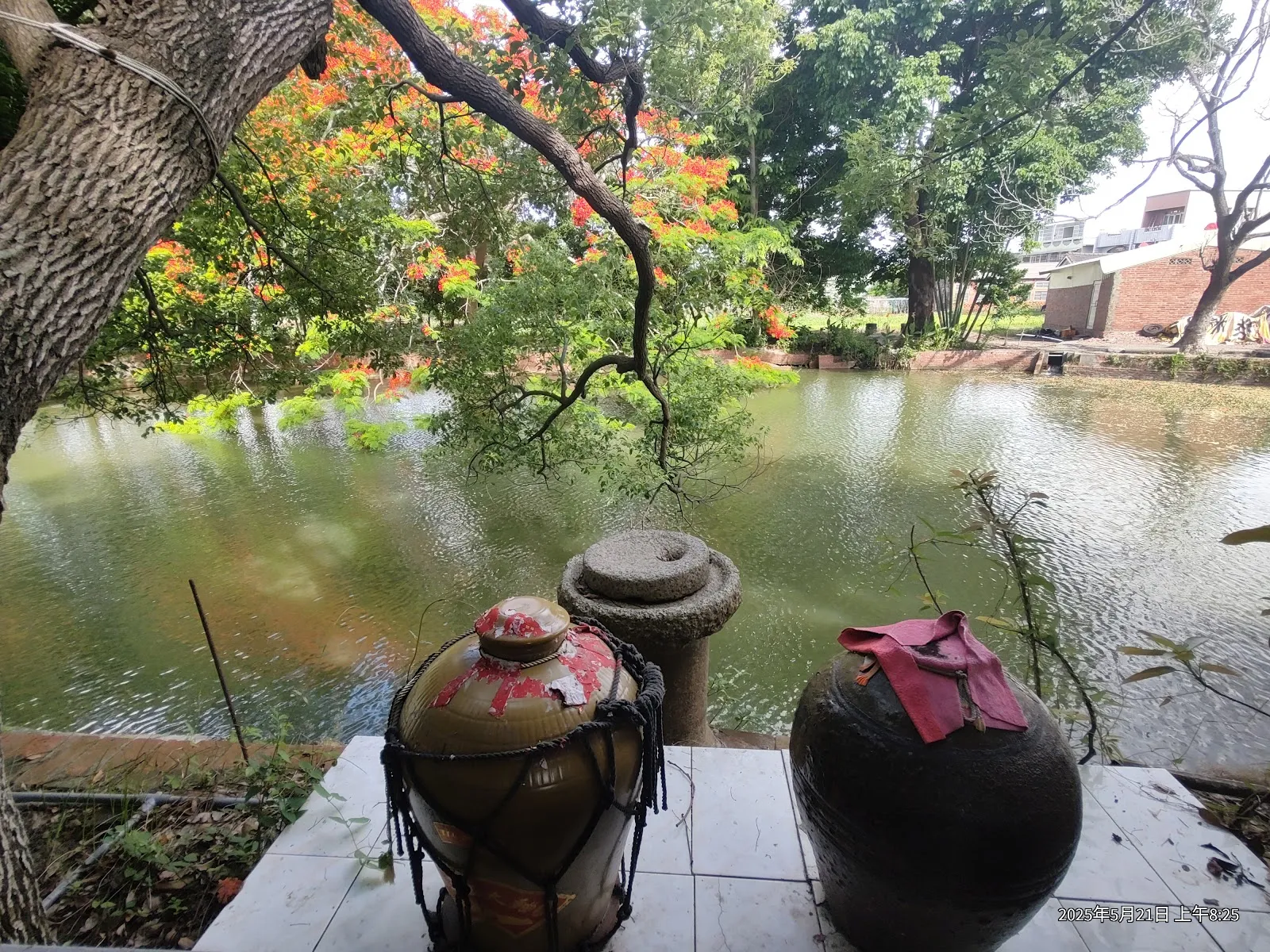 六腳動物醫院