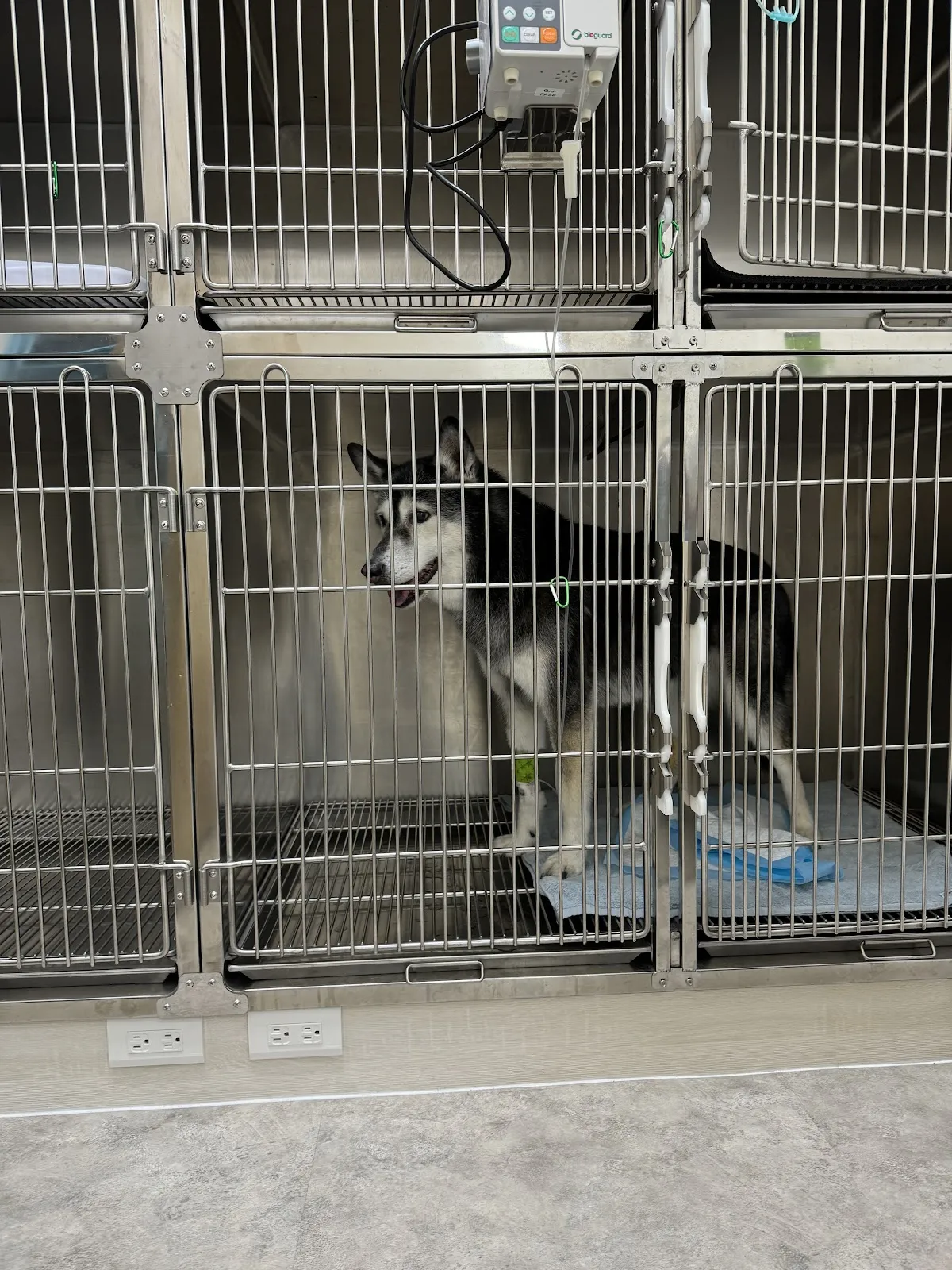 歐歐妮動物醫院