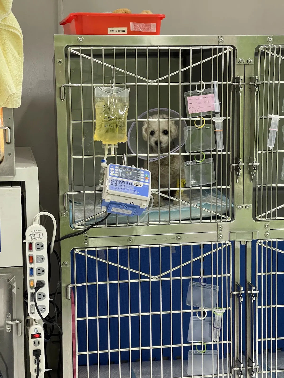 伊甸園動物醫院