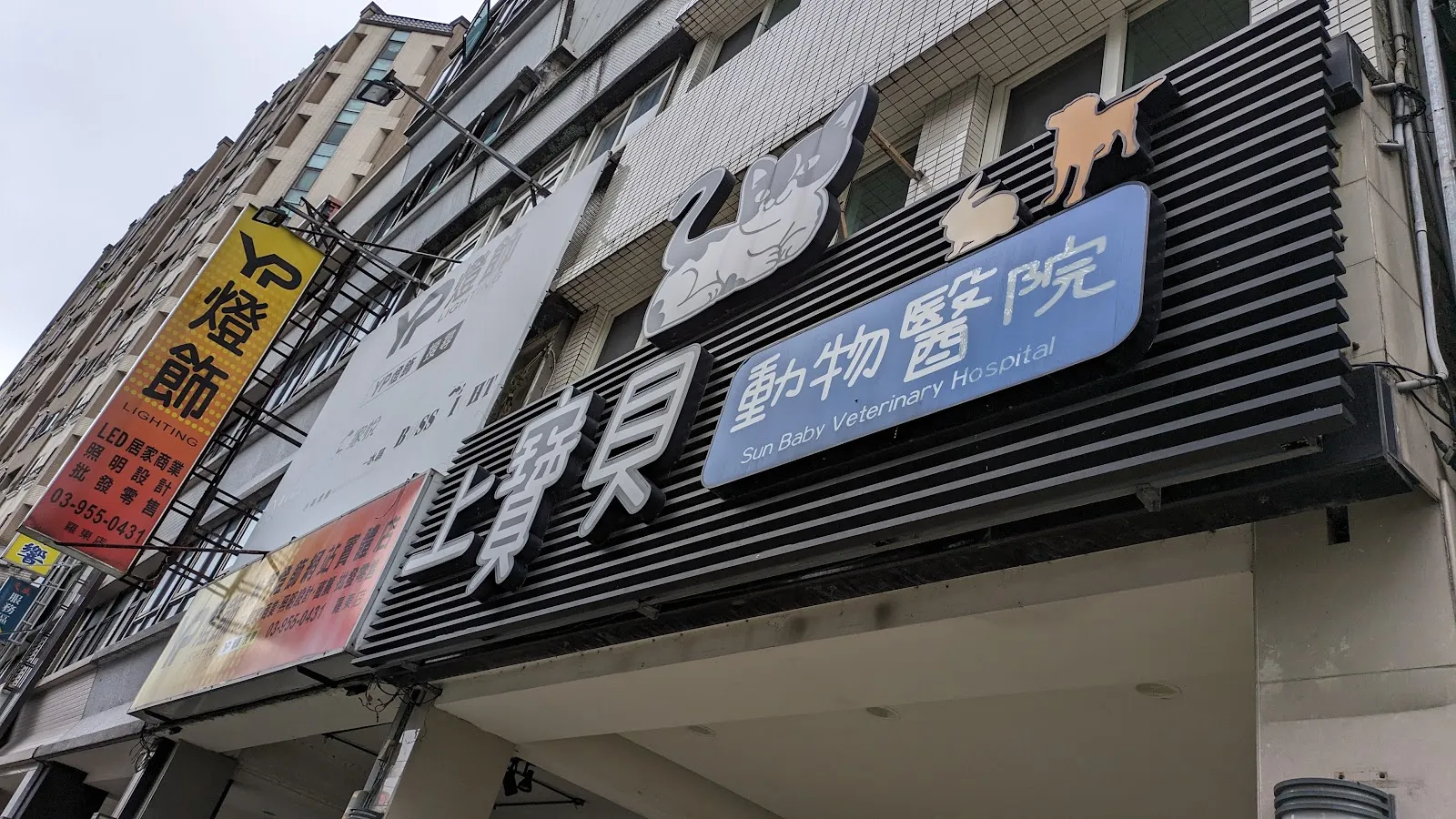 上寶貝動物醫院