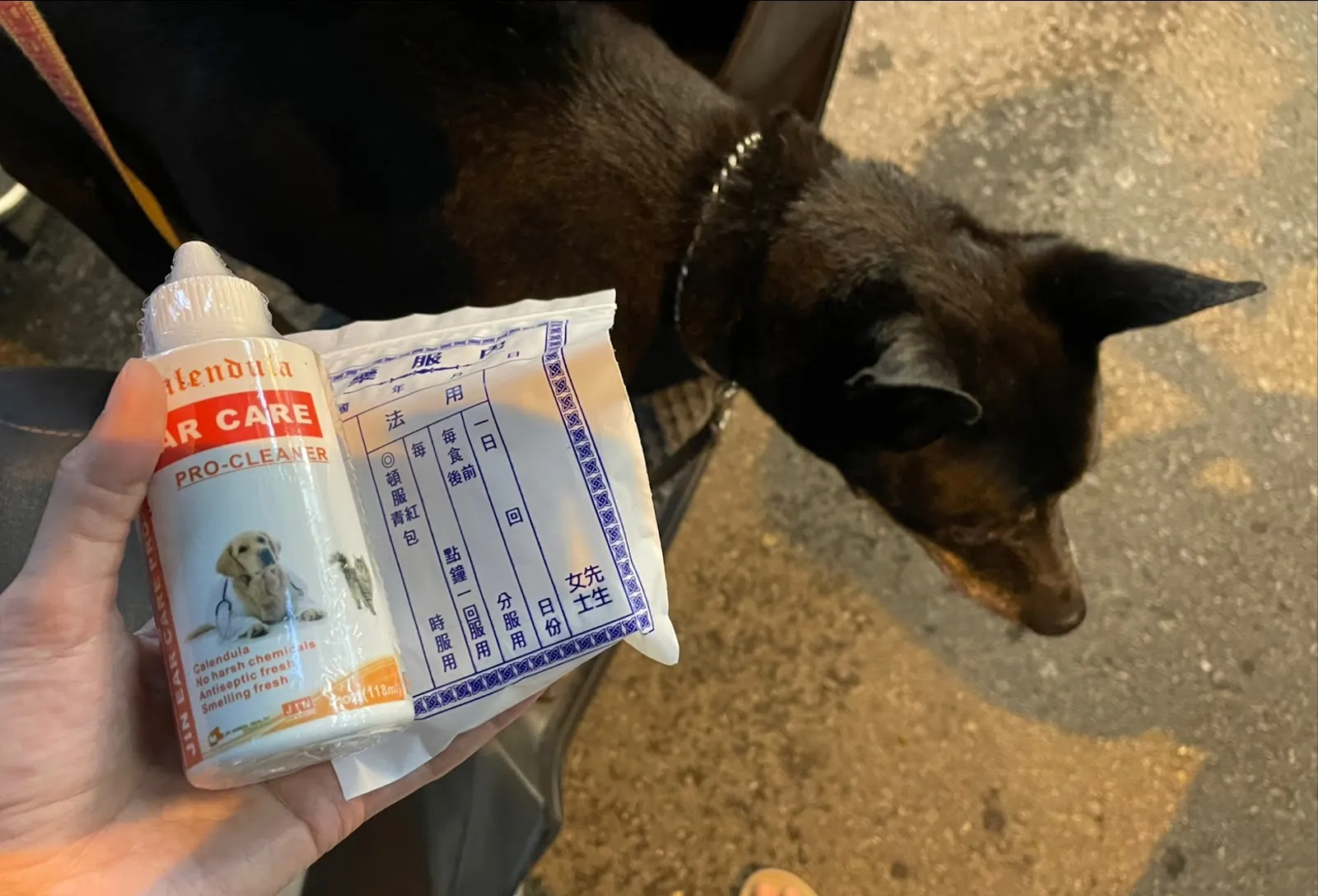 中台動物醫院