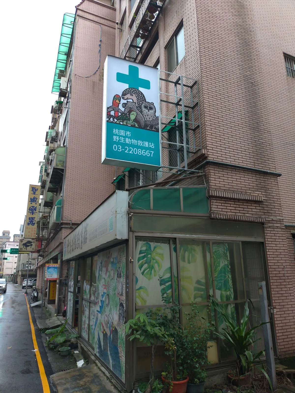 桃園市野鳥學會附設非營利野生動物診所