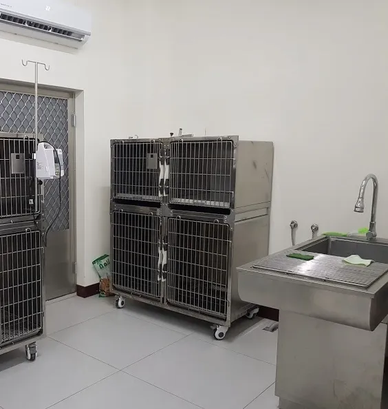 育聖動物醫院