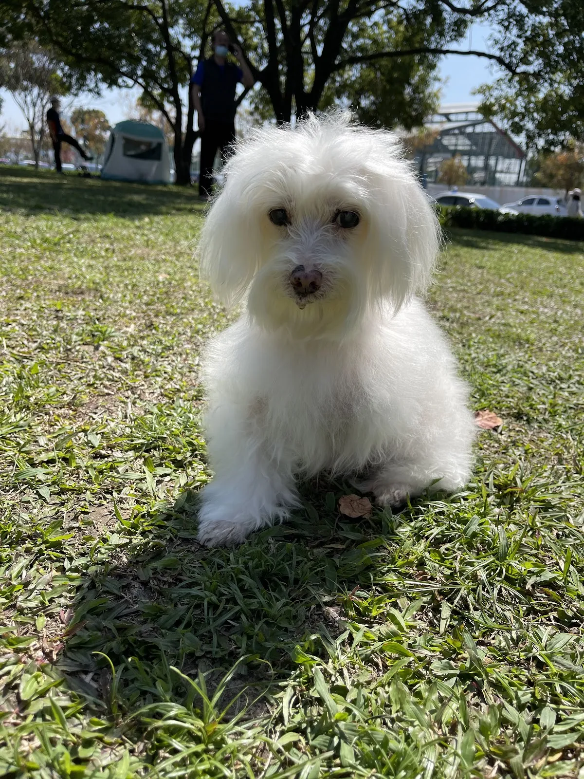 樂晨伴侶動物醫院