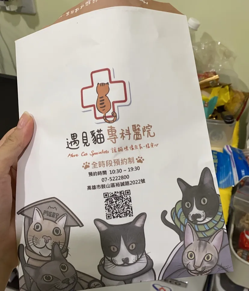 遇見貓專科醫院