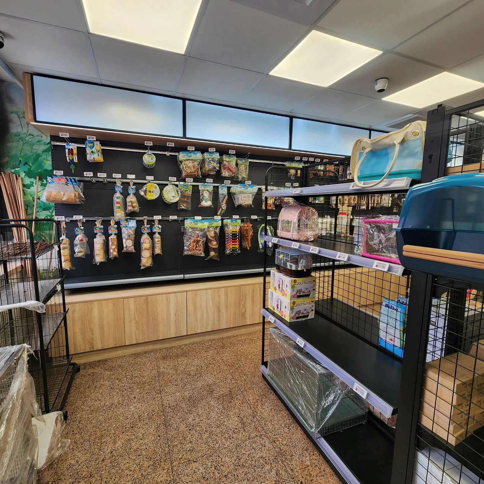 凡賽爾賽鴿寵物鳥醫院