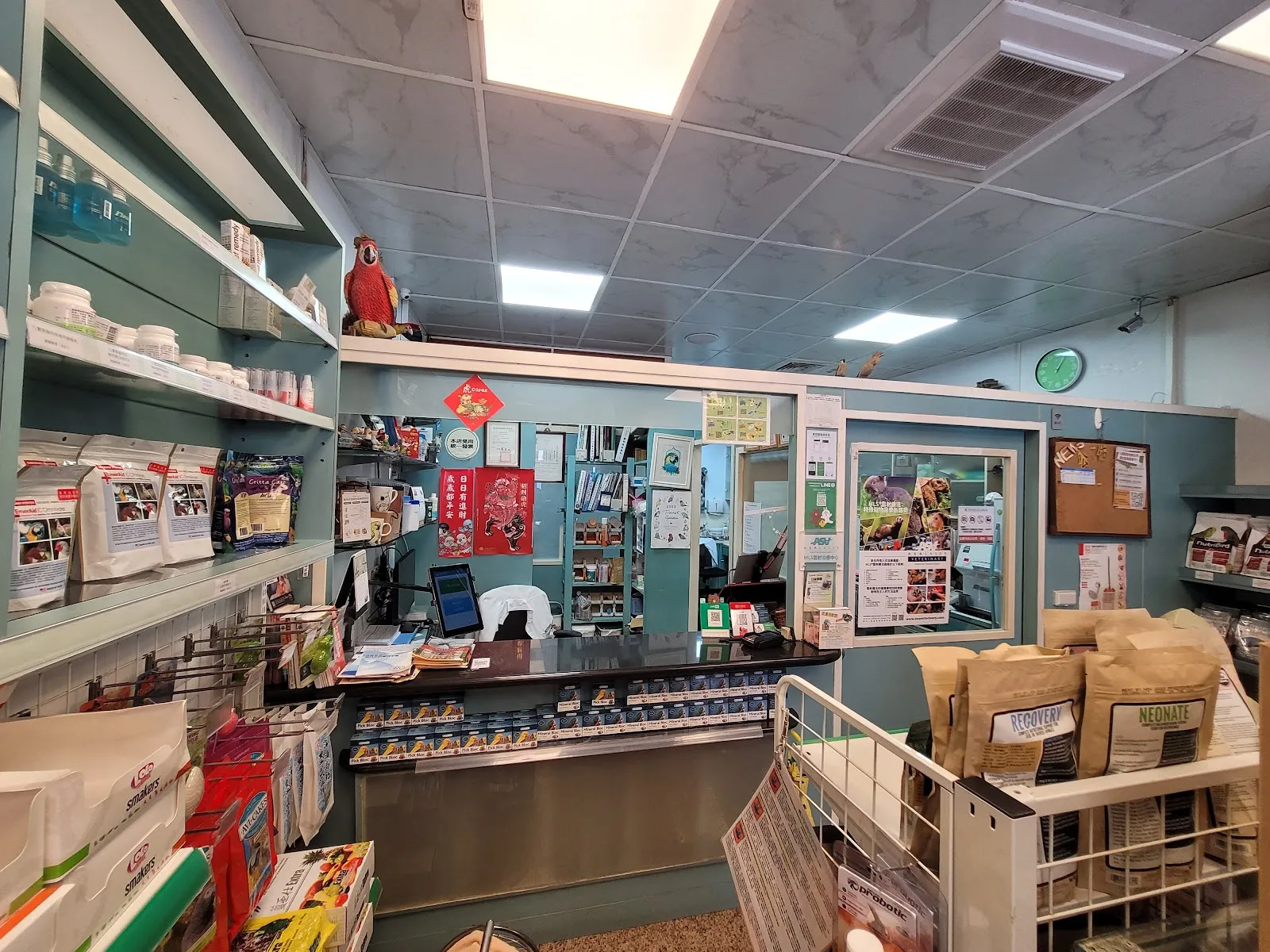 凡賽爾賽鴿寵物鳥醫院