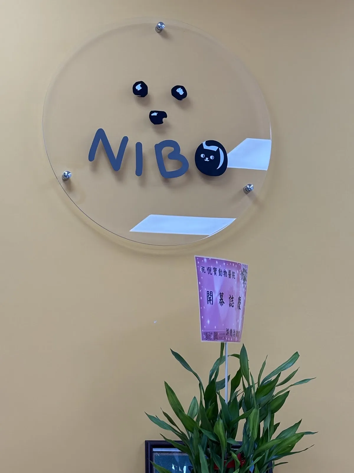 倪寶動物醫院