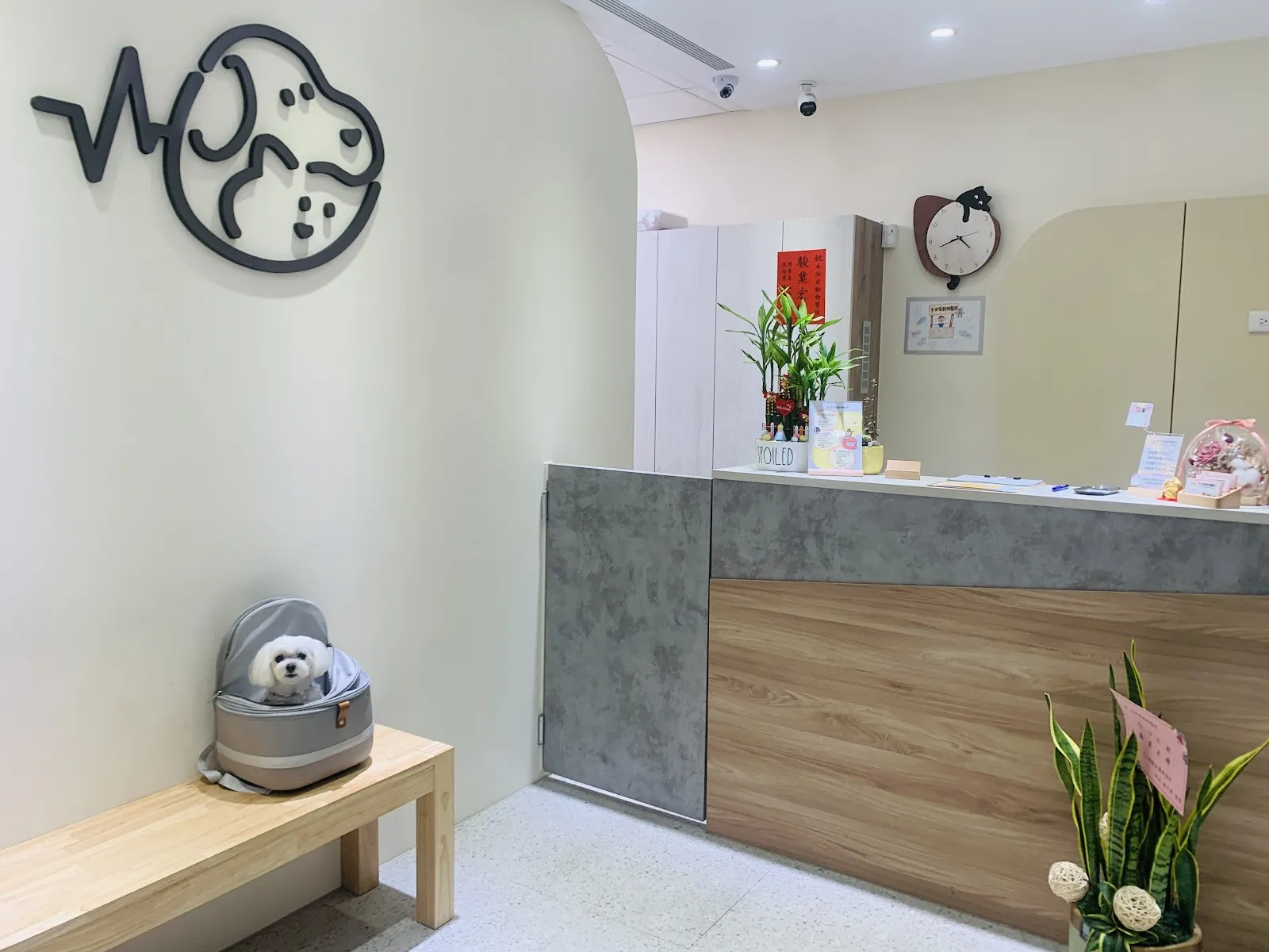 木沐家動物醫院
