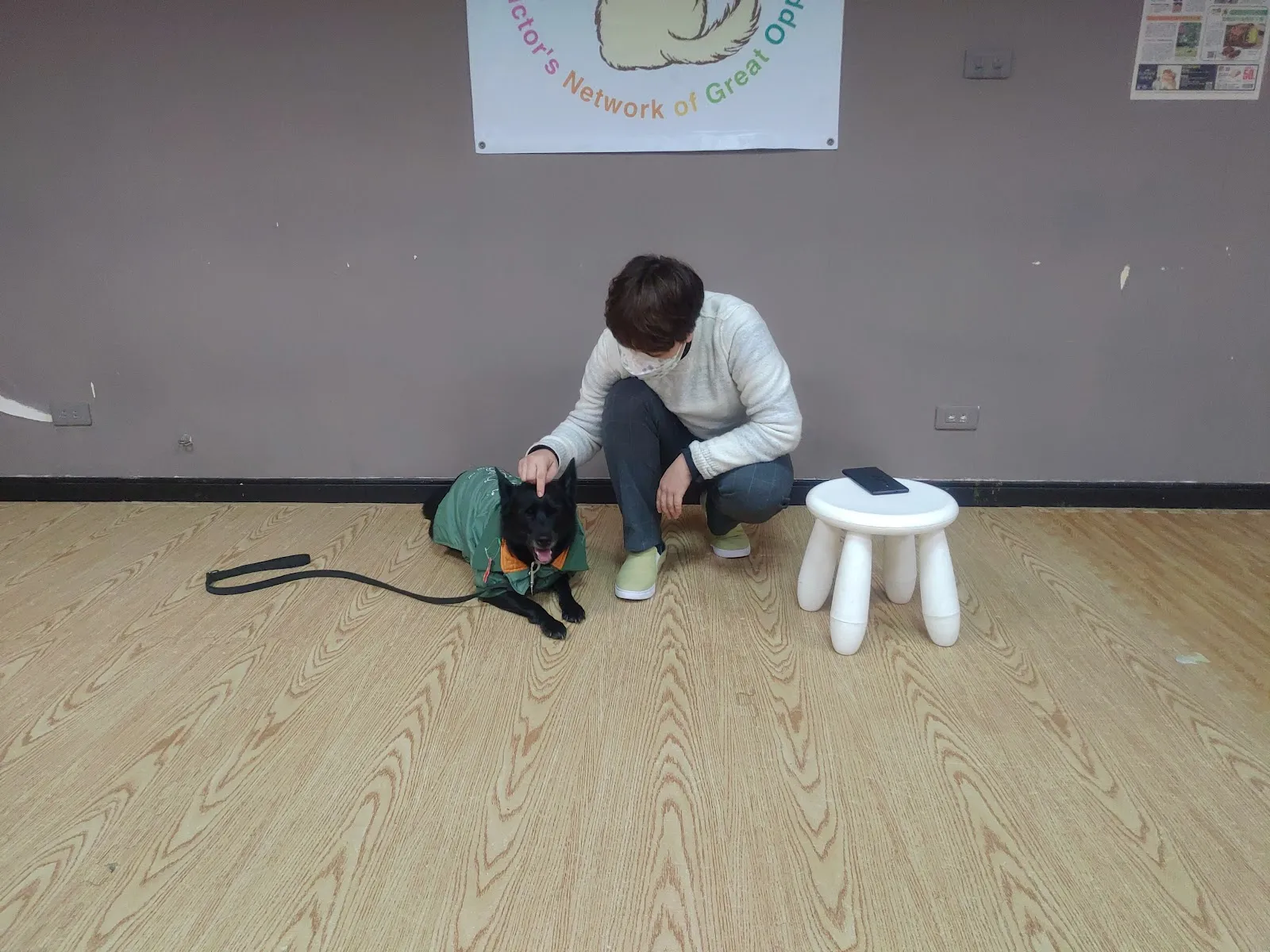 聽狗嶼動物診所