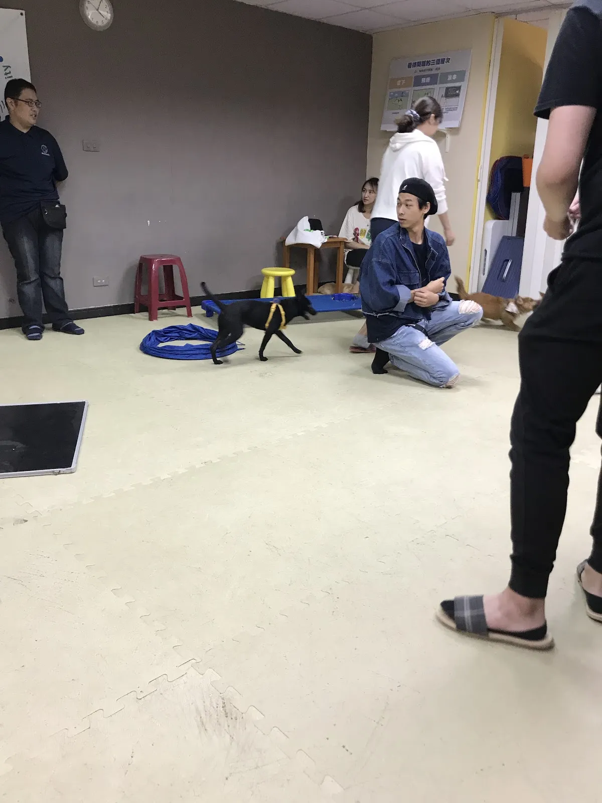 聽狗嶼動物診所