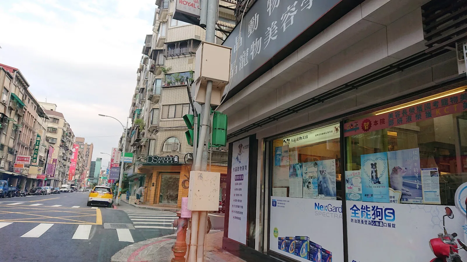 大晶動物醫院