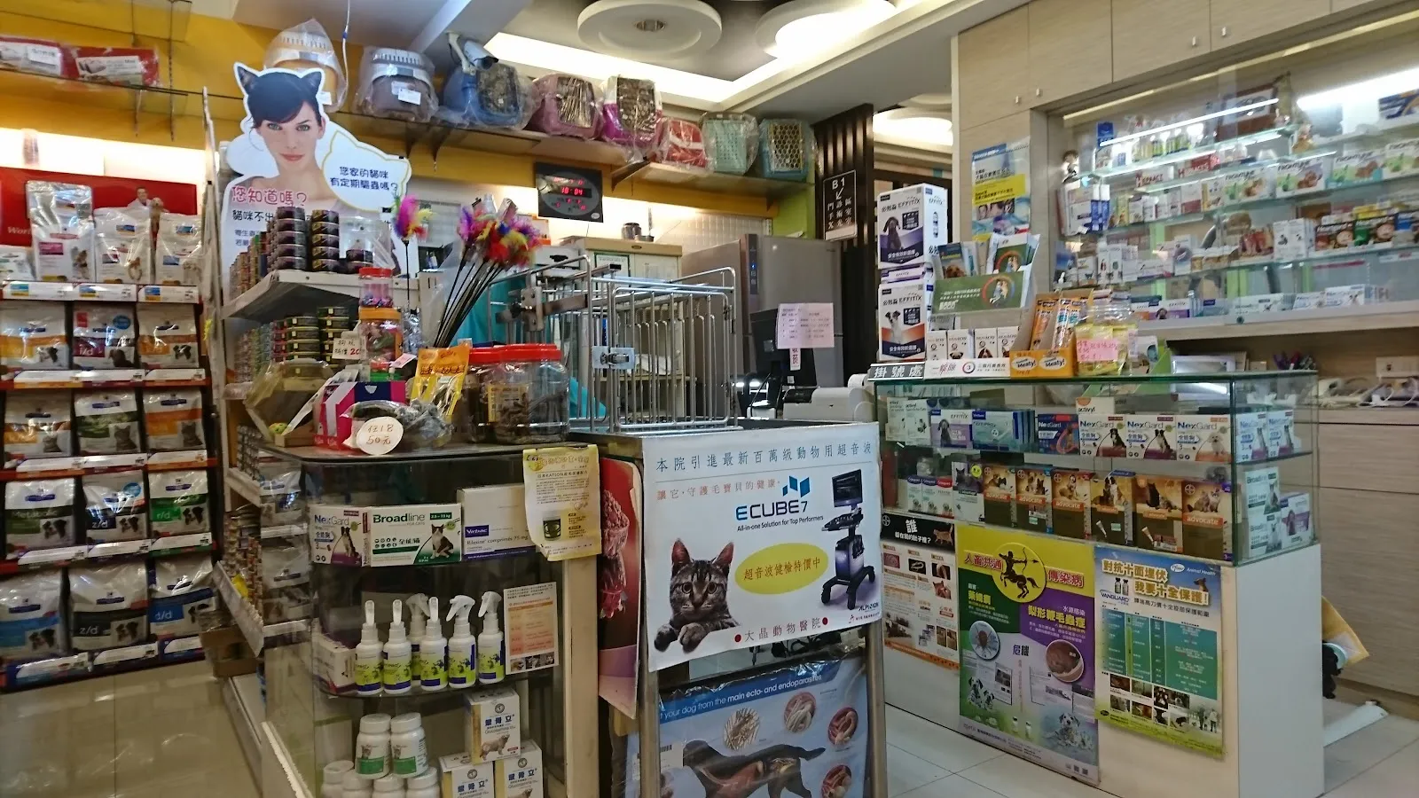 大晶動物醫院