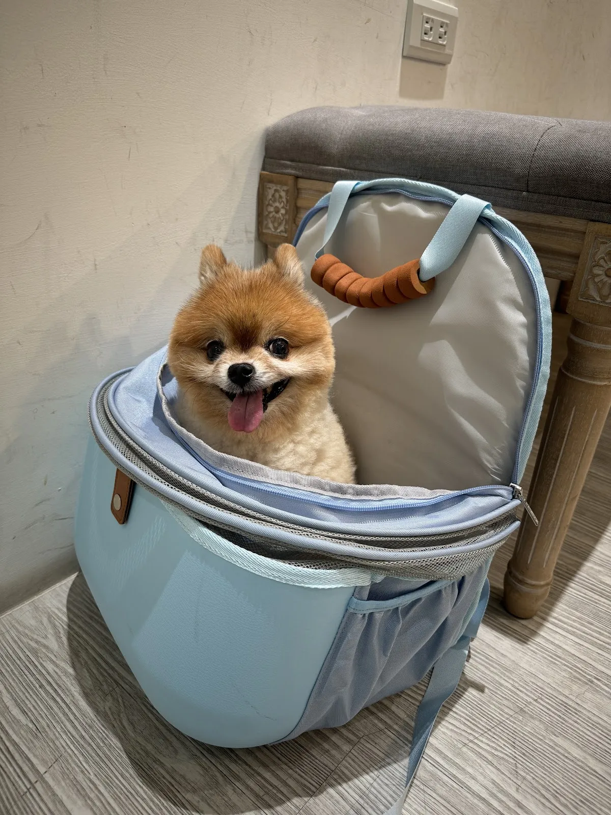 荷蘭醫生動物醫院